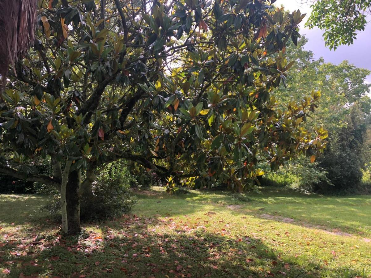 Libaros Maison De Haouret מראה חיצוני תמונה